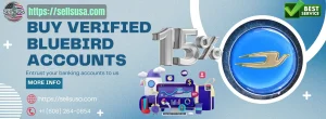 Buy Verified Bluebird Accounts